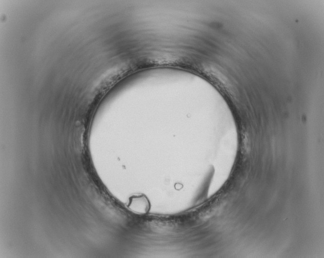 X0000089420733200707061318