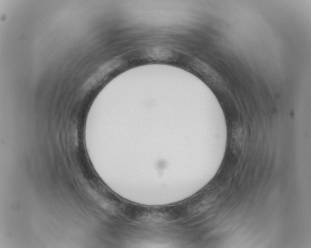 X0000089420734200707061318