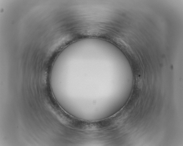 X0000089420735200707061318