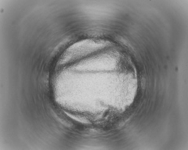 X0000089420737200707061318