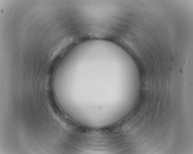 X0000089420738200707061318