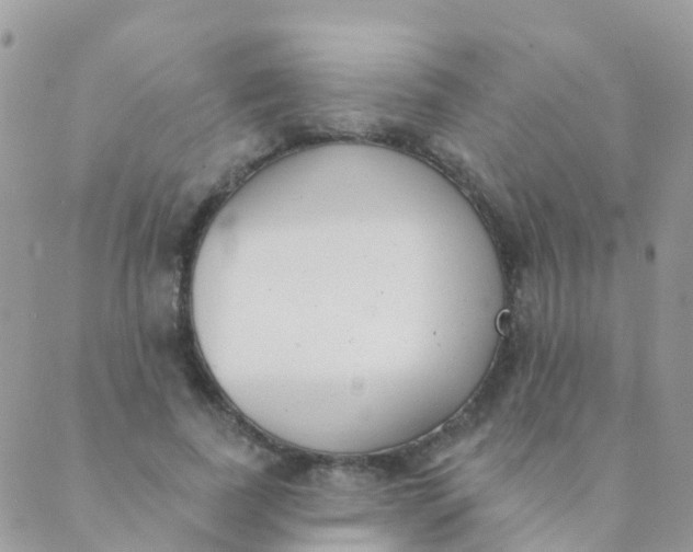 X0000089420739200707061318