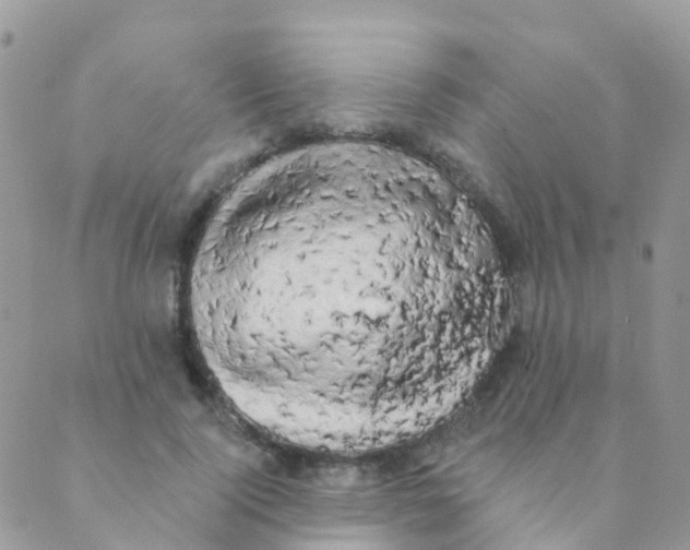 X0000089420740200707061318