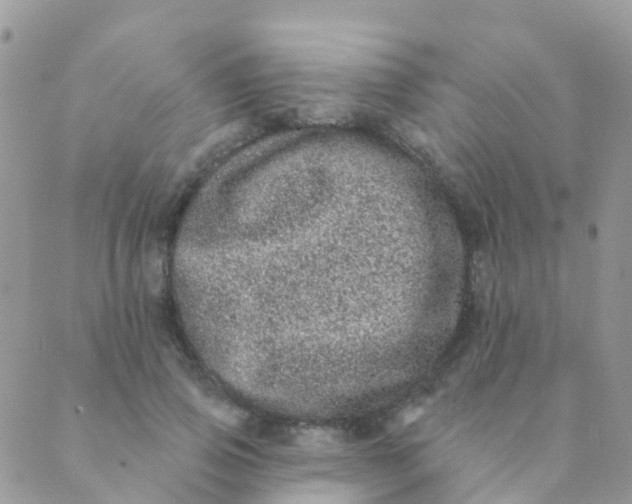 X0000089420741200707061318