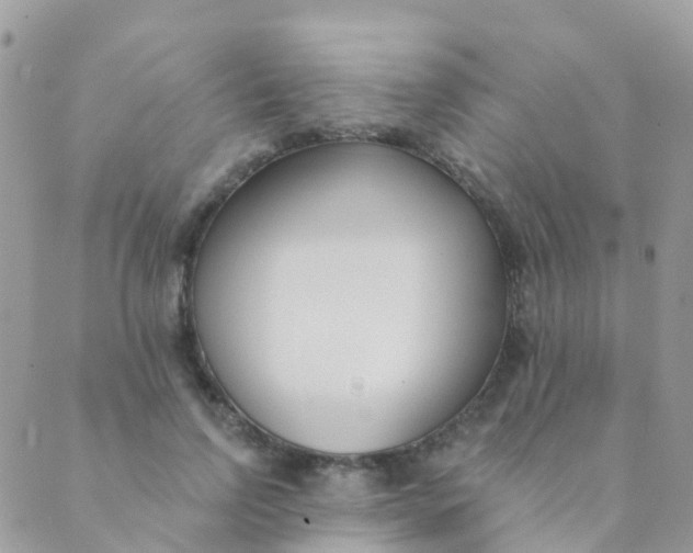 X0000089420742200707061318