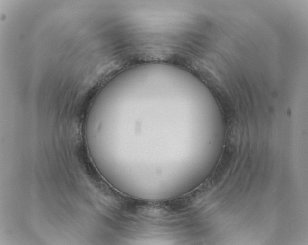 X0000089420743200707061318