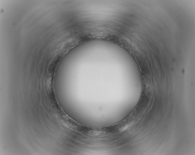 X0000089420745200707061318