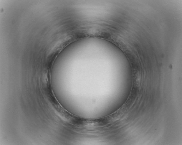 X0000089420746200707061318