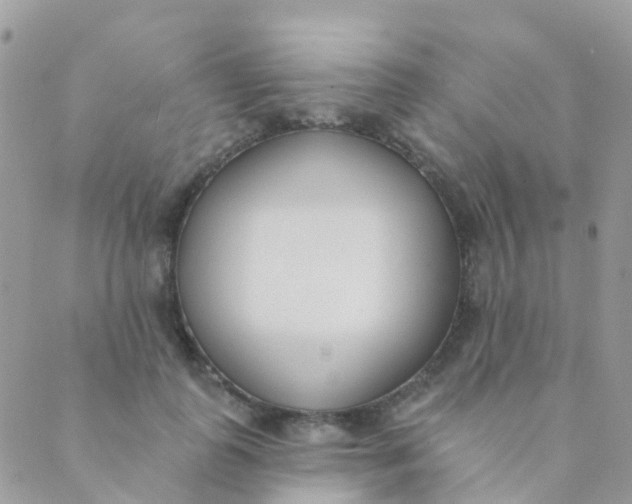 X0000089420747200707061318