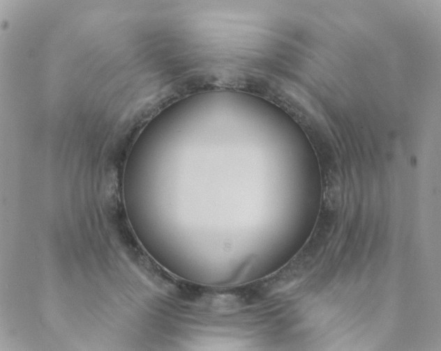 X0000089420748200707061318