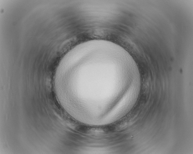 X0000089420749200707061318