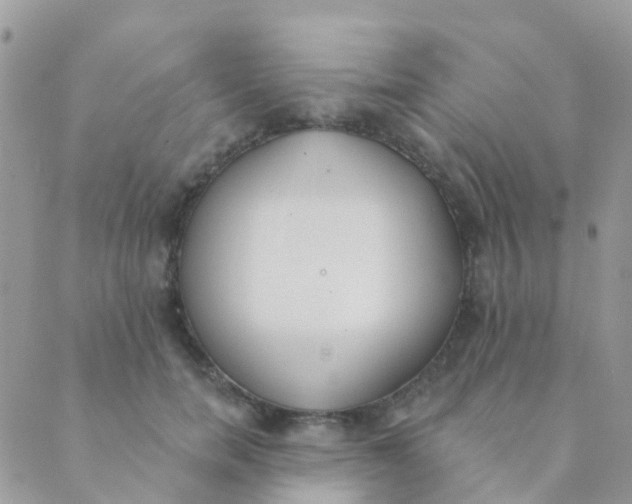 X0000089420750200707061318