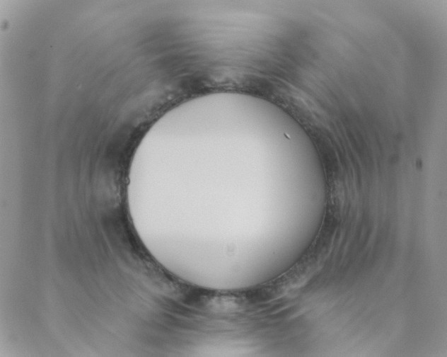 X0000089420751200707061318