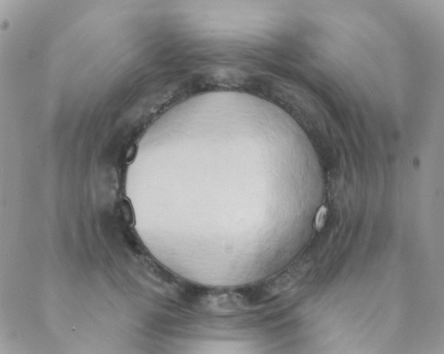 X0000089420752200707061318