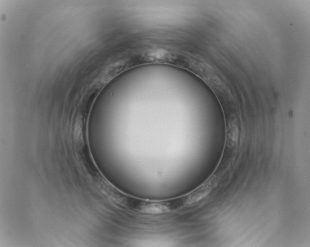 X0000089420754200707061318