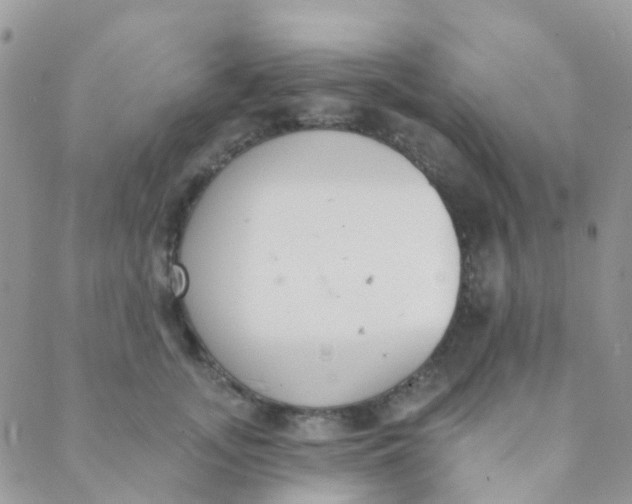 X0000089420755200707061318