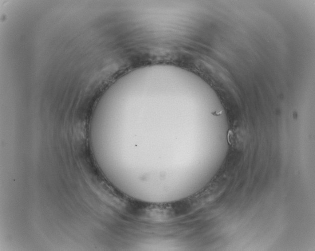 X0000089420756200707061318