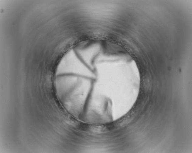 X0000089420757200707061318