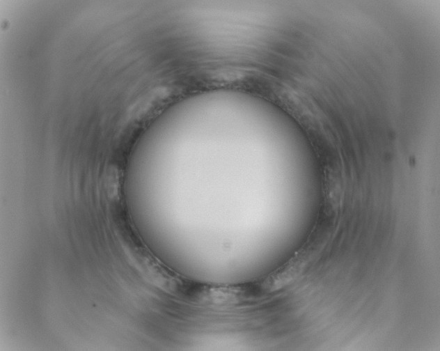 X0000089420758200707061318