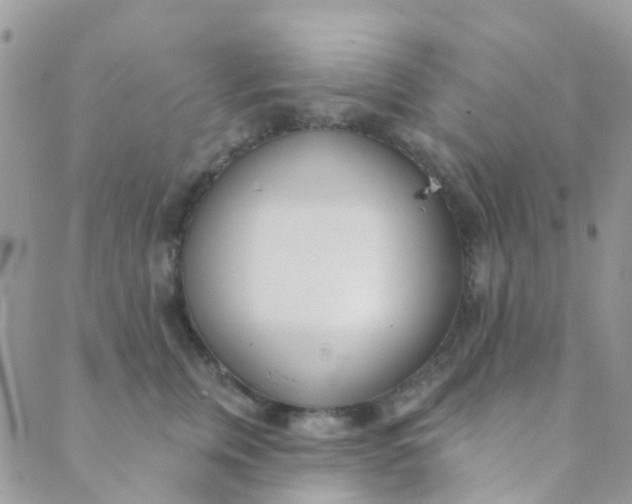 X0000089420759200707061318