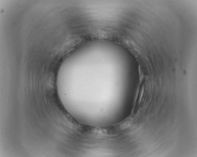 X0000089420760200707061318