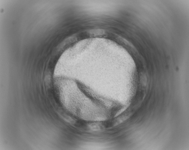 X0000089420761200707061318