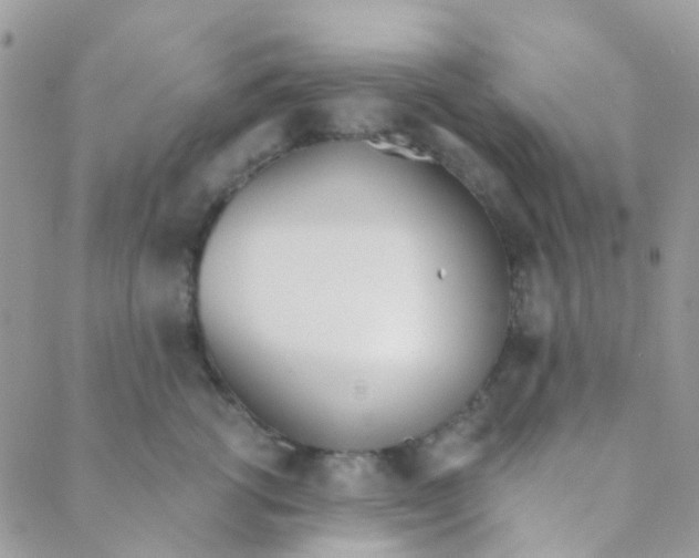 X0000089420762200707061318