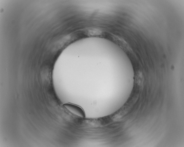 X0000089420763200707061318