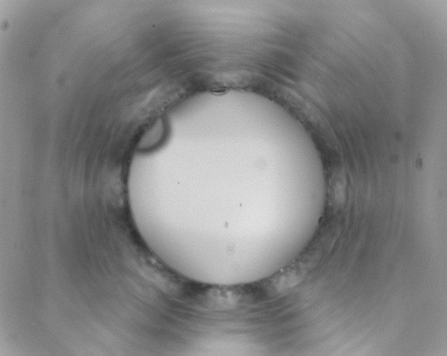 X0000089420764200707061318