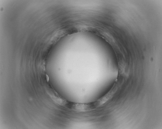 X0000089420766200707061319