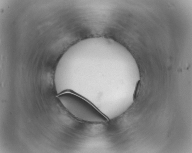 X0000089420768200707061319