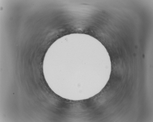 X0000089420769200707061318