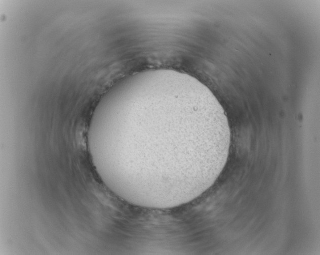 X0000089420770200707061318