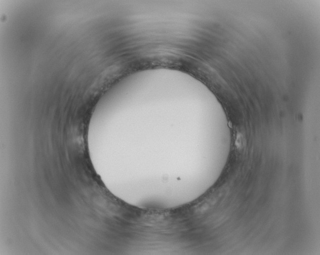 X0000089420771200707061318