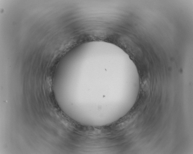 X0000089420772200707061318