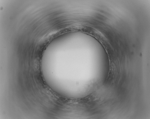 X0000089420773200707061318