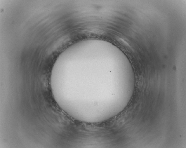 X0000089420774200707061318