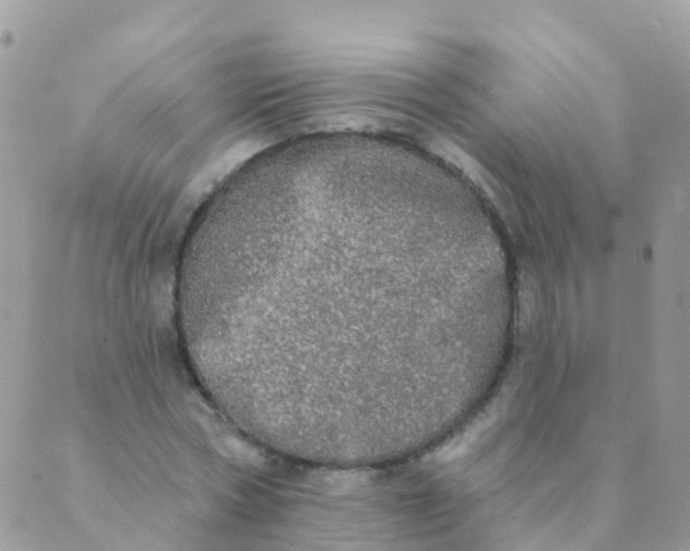 X0000089420778200707061318