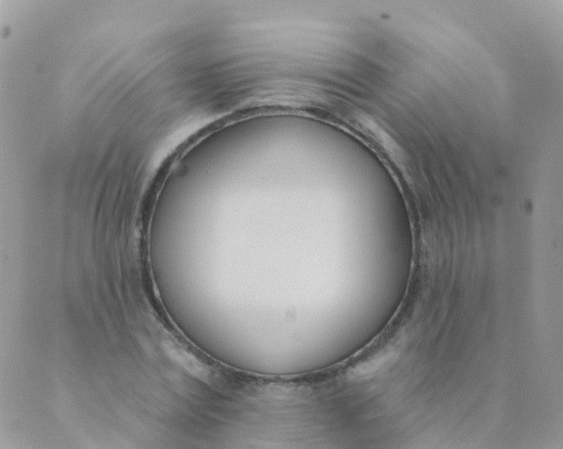 X0000089420779200707061318