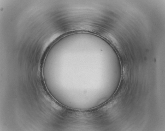 X0000089420780200707061318