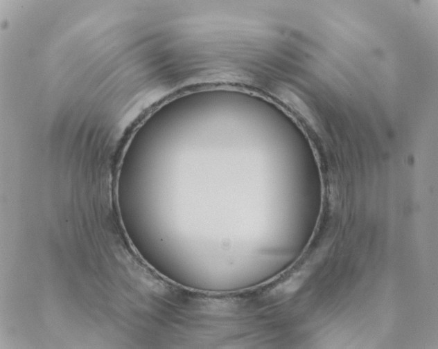 X0000089420781200707061318