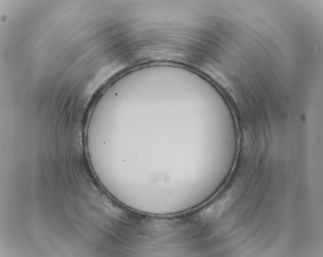 X0000089420782200707061318