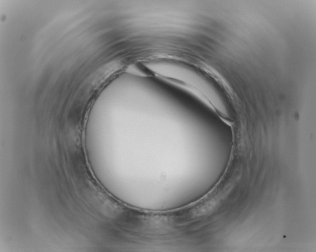 X0000089420785200707061318