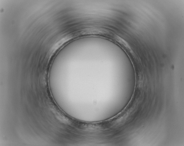 X0000089420786200707061318