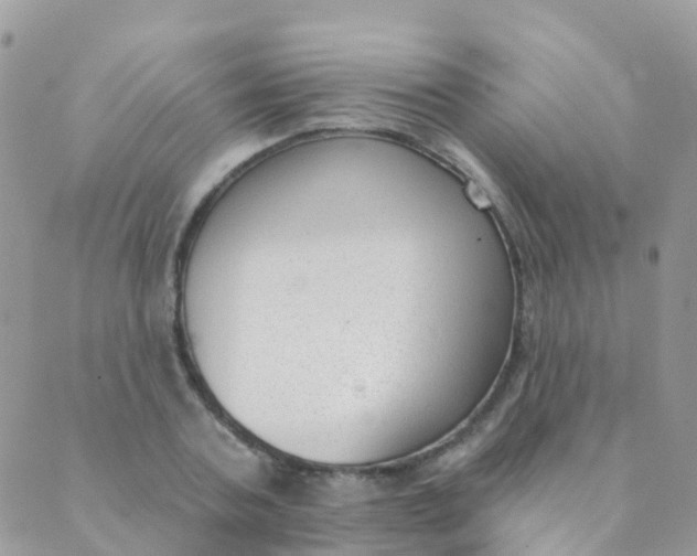 X0000089420787200707061317