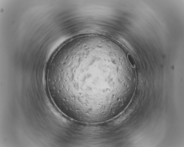 X0000089420788200707061317