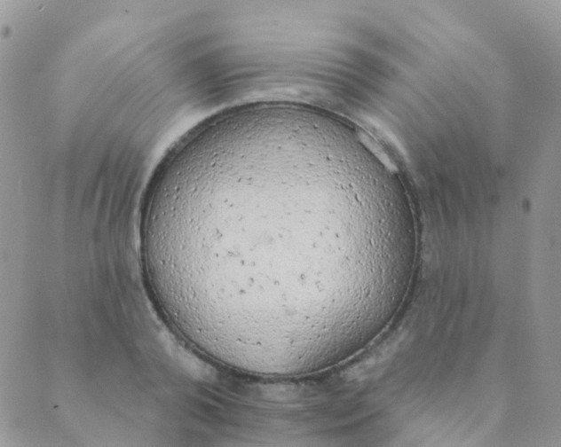 X0000089420792200707061317