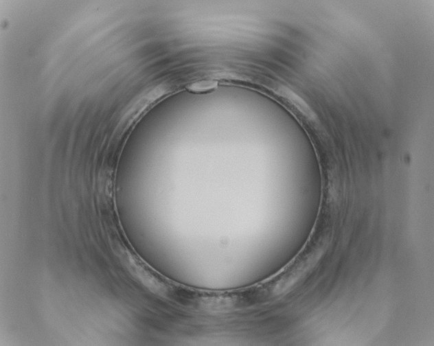 X0000089420793200707061317