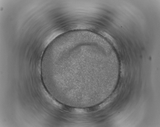 X0000089420794200707061317