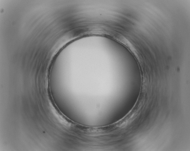 X0000089420795200707061317